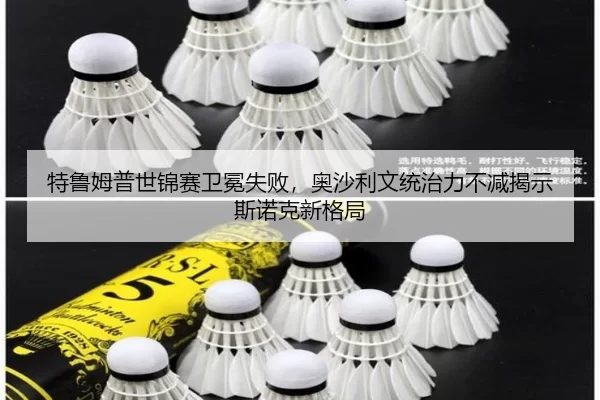 te-lu-mu-pu-shi-jin-sai-wei-mian-shi-bai-ao-sha-li-wen-tong-zhi-li-bu-jian-jie-shi-si-nuo-ke-xin-ge-ju-3-738.jpg